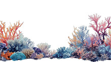 Graphic Border Of Colorful Sea Corals With Transparent Background