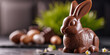 chocolate easter bunny 