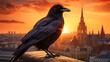 Raven on the background of the Parliament in Budapest, Hungary at sunset
