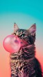portrait of a cat chewing bubble gum