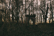 Tor im Wald - Gate - Door - Entrance - Entry - Winter - Cold - Background - Mood - Nature - Lost Place - Urbex - Hidden - Decay - Urbex / Urbexing - Lost Place 