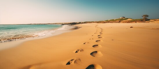 Footprints visible in the desert under a clear sky