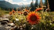 Sunflower in the forest UHD wallpaper