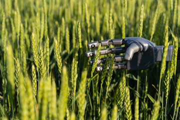 Aufkleber - Robot hand with ears of rye. Smart farming and digital transformation in agriculture 4.0.