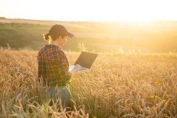 Aufkleber - Woman farmer working with laptop on wheat field. Smart farming and digital agriculture