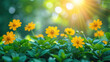 © KAI - Spring Equinox Day Bokeh Banner Wild Flowers And Sun  Rays