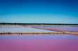 Geometrical pink salt pond near Arles, France
