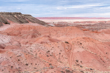 Wall Mural - Beautiful view of the painted desert area of Petrified Forest National Park Arizona