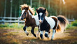  Two young horses running  .ai generated