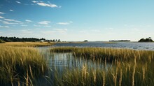 A Coastal Marsh With Tall Grasses Reflecting In Calm Water Under A Clear Blue Sky-Generative Ai