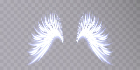 Leinwandbilder - Abstract vector electric light wing. Spark flash effect. Neon glowing curves. Bright curved line.