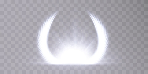 Leinwandbilder - Abstract vector electric light wing. Spark flash effect. Neon glowing curves. Bright curved line.