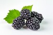 blackberries isolated on a white background. a bunch of black berries with leaves.