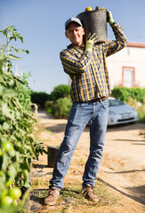 Wall Mural - Portrait of a positive male farmer standing with a bucket of ripe recently harvested tomatoes