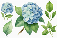 Elegant Watercolor Arrangements Featuring Hydrangea And Eucalyptus