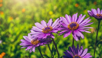 Wall Mural - purple flowers on a bright green background