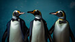 Three Penguins in Tuxedos at a Formal Gathering
