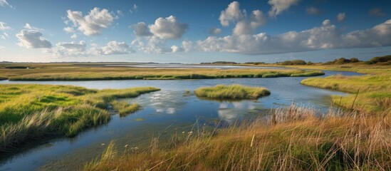 Canvas Print - English wetlands near Stiffkey on the North Norfolk Coast