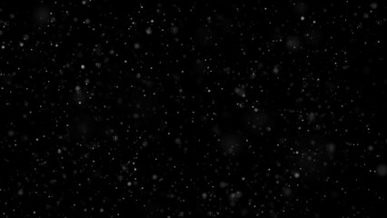 Wall Mural - falling white snow. snowflakes on overlay black background