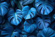 © Rafa Fernandez - Beautiful dark background of blue leaves. Top view.