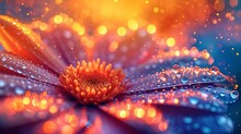 Colorful Image Of Dew On A Flower