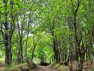 caminhos da natureza