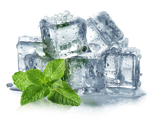 Wall Mural - Green mint and ice cubes isolated on white