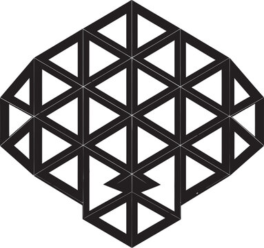 Mystic Geometry Abstract Black Logo with Vector Geometric Elements Ephemeral Lines Monochromatic Emblem Showcasing Abstract Geometric Design in Vector