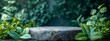© Hayden West - Podium beauty minimal display stage stand summer fashion abstract luxury plant. Minimal podium background texture green beauty shadow banner mockup wall stone leaf showcase cosmetic wallpaper sale art