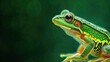  a close up of a green and yellow frog on a green background with a blurry image of the frog.