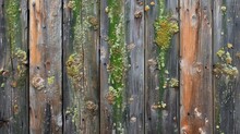 Sun-bleached Wooden Fence With Streaks Of Green Algae, Capturing The Dual Forces Of Nature And Time.