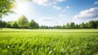 Beautifully blurred background of spring nature with a green lawn with fresh grass surrounded by trees, against a background of blue sky with clouds on a bright sunny day.
