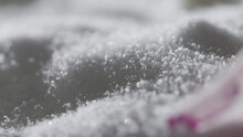 Abstract Macro Shot Of Frozen Flower