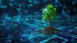 Tree with soil growing on the converging point of computer circuit board. Blue light and wireframe network background. Green Computing, Green Technology,