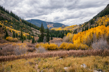 Wall Mural - Tranquil landscape in the Eagles Nest Wilderness, Colorado