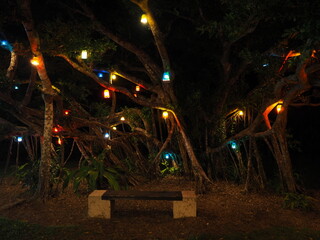 Canvas Print - the romantic illumination of resort hotel in kohama island