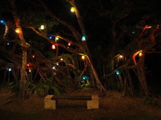 Canvas Print - the romantic illumination of resort hotel in kohama island