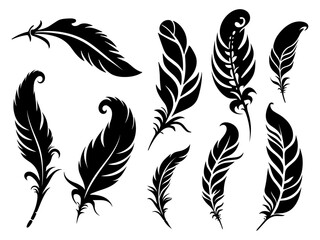  Set of detailed majestic feather collection. Bird Feather black silhouettes. Plumelet collection. Vector isolated on white