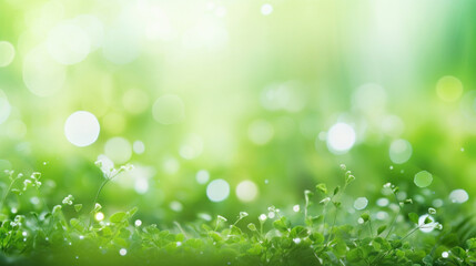 Wall Mural - A close-up of a lush green clover field glistening with morning dew, under a soft bokeh light effect.