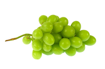 Wall Mural - close up on green grape isolated on white background