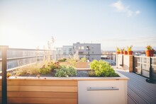 Rooftop Garden On Modern Apartment