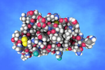 Poster - T6 human insulin. Space-filling molecular model. Atoms are shown as spheres with color coding: carbon (grey), oxygen (red), hydrogen (white), nitrogen (blue), sulfur (yellow). 3d illustration