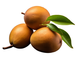 Canvas Print - A grouping of ripe sapodilla fruits with leaves on a transparent background.