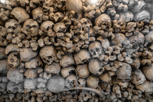 Skulls On Display In The Ossuary In Kranj City, Slovenia.
