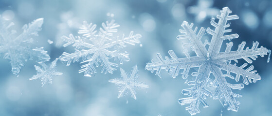 Wall Mural - winter snowflake background