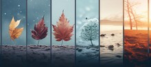 Seasons Collage  Winter, Spring, Summer, Autumn   Nature Photos With Colorful Vertical Lines