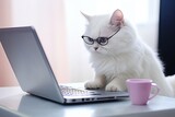 Fototapeta Konie - Cute smart cat in glasses works with a laptop. AI generative