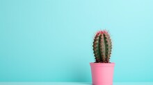 A Single Green Cactus With Numerous Spines Presented In A Pink Pot Contrasts With The Dual-tone Background Of Pink And Turquoise, Highlighting The Plant's Form And Texture.