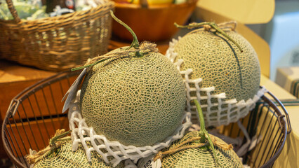 Picture of 4 mature, green, striped melons packed in protective foam netting to prevent bruising. It was placed in a metal basket.