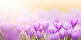 website banner showing beutiful spring flowers - generative ai